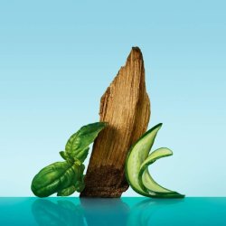 Calvin Klein Eternity Aqua Eau De Toilette Woody Men's Cologne