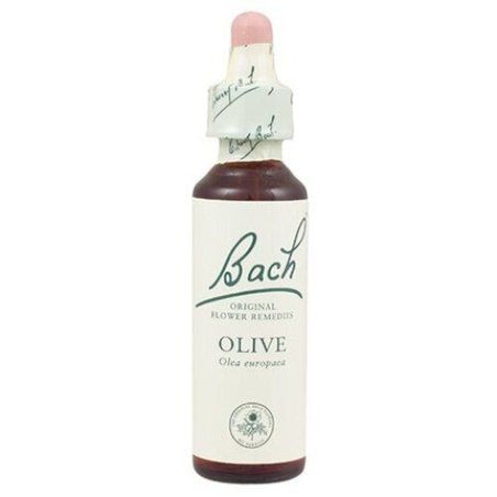 Schwabe Pharma Olive Blossom 20ml
