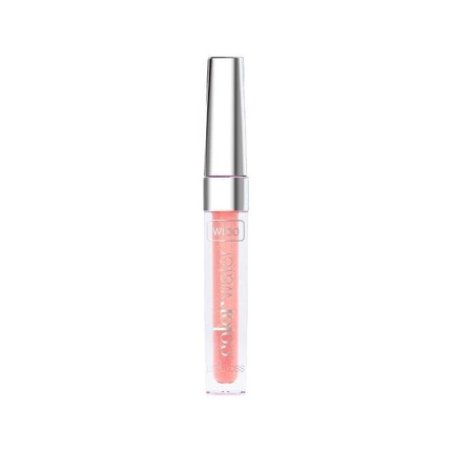 WIBO Lip Gloss Color Water Number 4