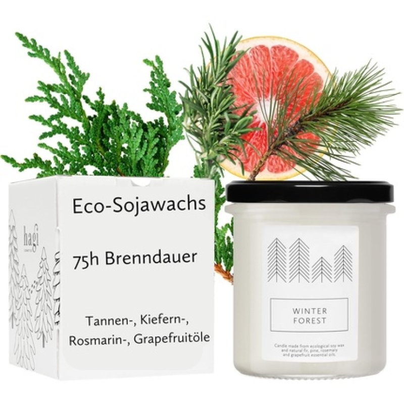 Hagi Winter Forest Scented Candle in Glass - Scent of Winter Air, Refreshing Fragrance