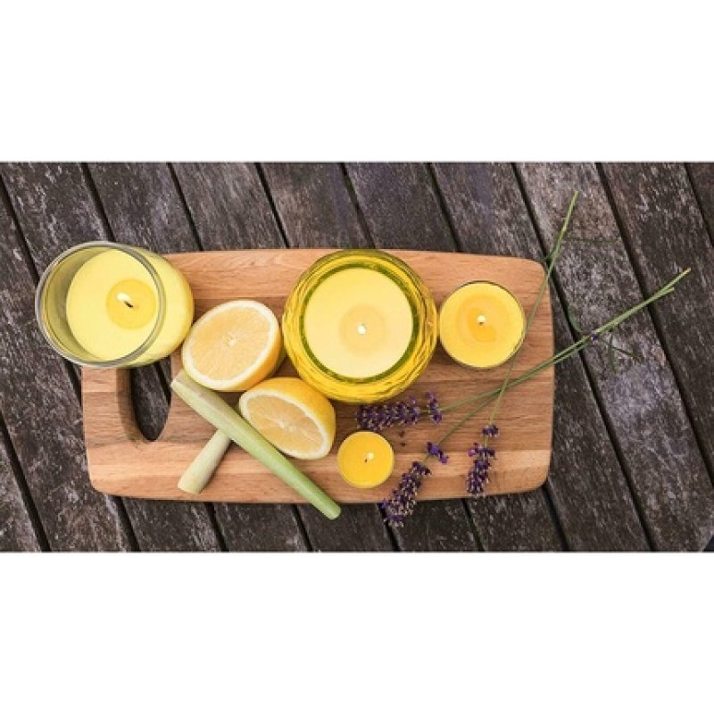 Citronella Party Lights