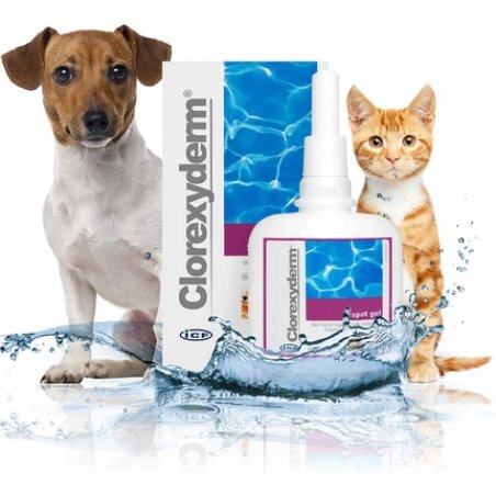 Clorhexyderm Spot Gel