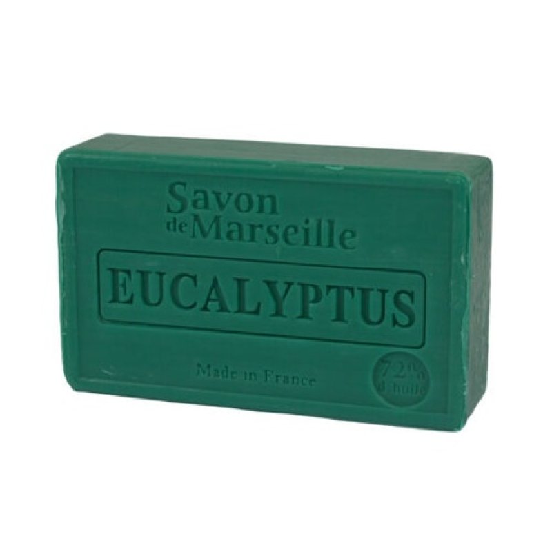 Le Chatelard Extra Mild Eucalyptus Marseille Soap 100g