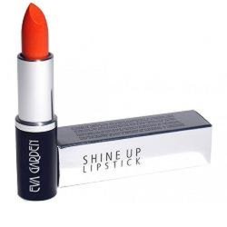 Eva Garden Lipstick Shiny Up 622