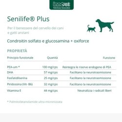 Innovet Senilife Plus Wellness For Older Dogs And Cats, Pack Of 30