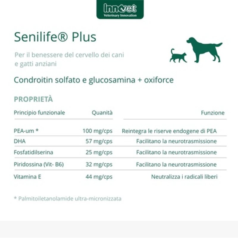 Innovet Senilife Plus Wellness For Older Dogs And Cats, Pack Of 30