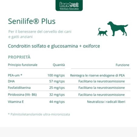 Innovet Senilife Plus Wellness For Older Dogs And Cats, Pack Of 30