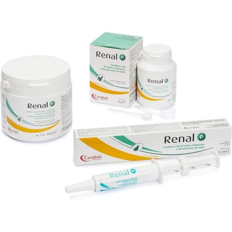 Candioli Pharmaceutical Renal P Supplement for Dogs and Cats 240g Jar