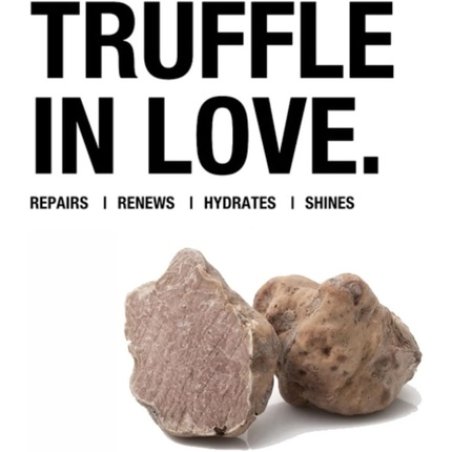 Previa Reconstruct Regenerating Conditioner 250ml for Damaged Hair