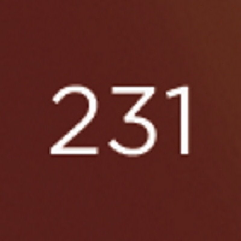 Diego dalla Palma Nail Polish, 231 Hot chocolate