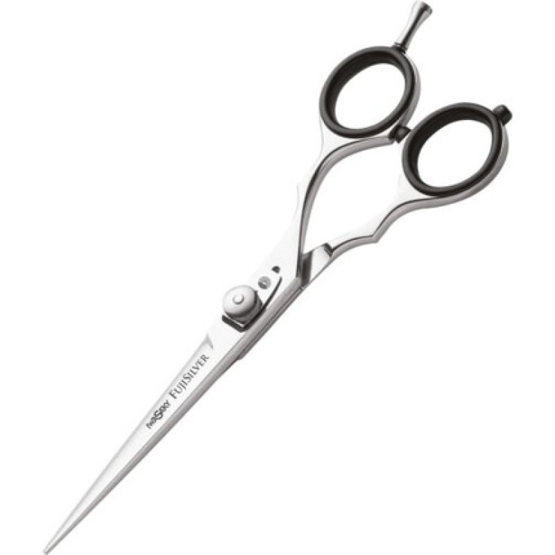 XanitaliaPro Iwasaki Executive Silver Fuji 6