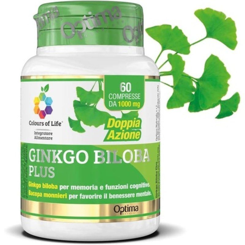 Ginkgo Biloba Cognitive Support Memory and Learning 60 Tablets