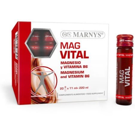 Magvital 20 Bottles by Marny's