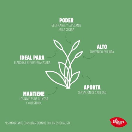El Granero Integral Psyllium Bio 400g Vegan Superfood