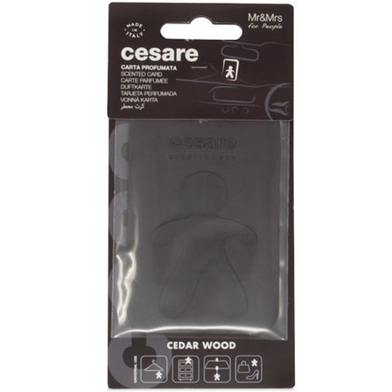 Mr&Mrs Fragrance Cesare air care Car Paper