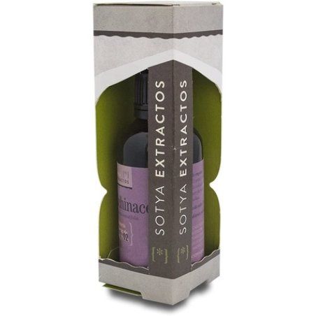 Echinacea Extract 60ml