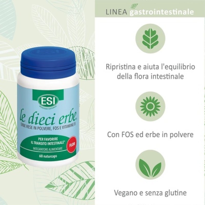 Digestive Health Probiotic Supplement Flor 60 Capsules