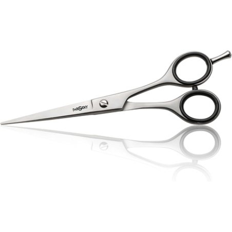 Iwasaki 5" Steel Shears