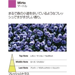 Millefiori Refill Bottle Translucent 250ml