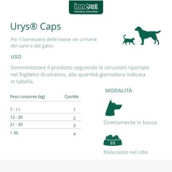 Innovet Urys Capsules For The Well-Being Of The Low Urinary Tract In Dogs And