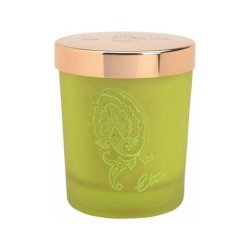 Etro Dafne Candle 170g