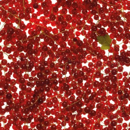 Erbario Toscano Energizing Shower Bath Tuscia Berries 250ml