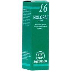 Pai 16 Holopai Terrain Obesity