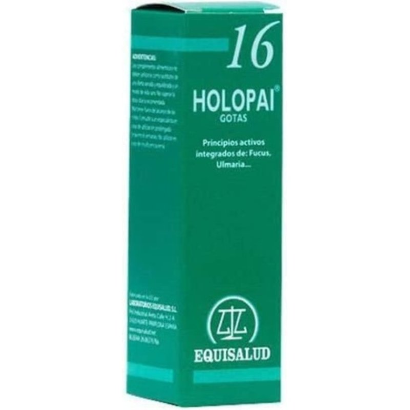 Pai 16 Holopai Terrain Obesity