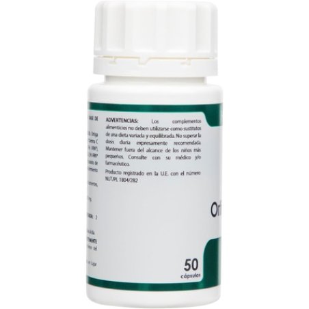 Holophyte Ortiga Groen