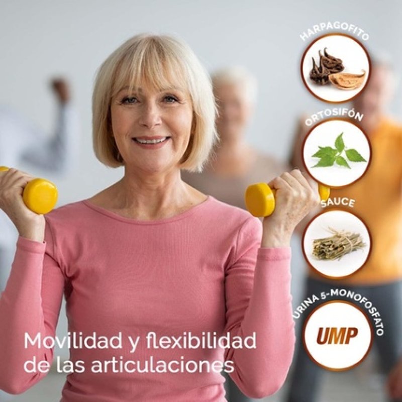 Harpasul Forte Joint Care 40 Capsules