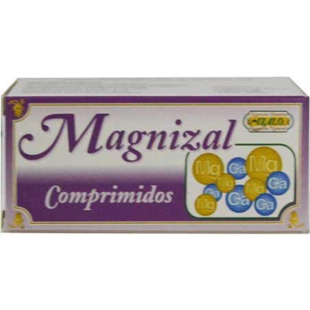Magnizal 60 Tablets