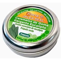 Forte Eucalyptus Gum Candies 45 Units