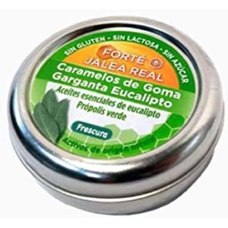 Forte Eucalyptus Gum Candies 45 Units