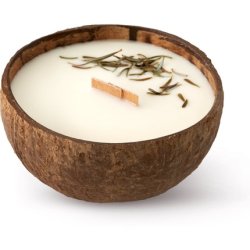 Tropicandle Forest Wood Scented Candle - 350 ml