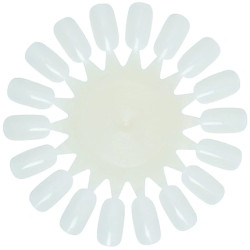 Xanitalia Pro Xan Pro Nail Display Wheel