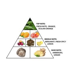 Al Haramain Belle Swim Unisex Adult 2.5 Oz EDP Spray