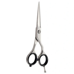 Xanitalia Pro Iwasaki Master Offset Scissors 5