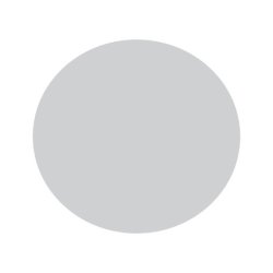 IBP Transfer Foil Silver TF100