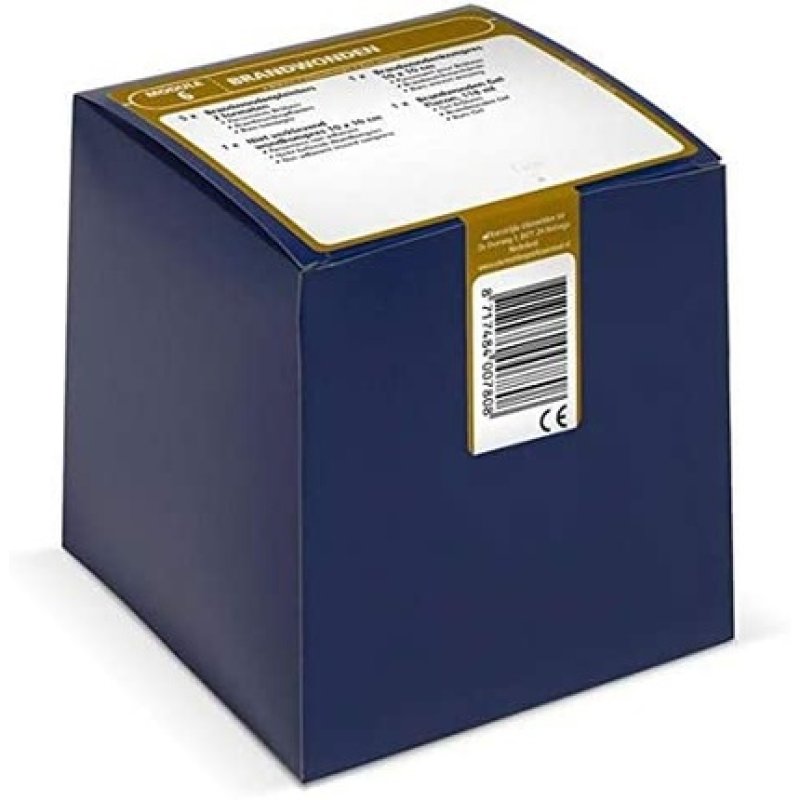 Utermohlen Module 6 Burns