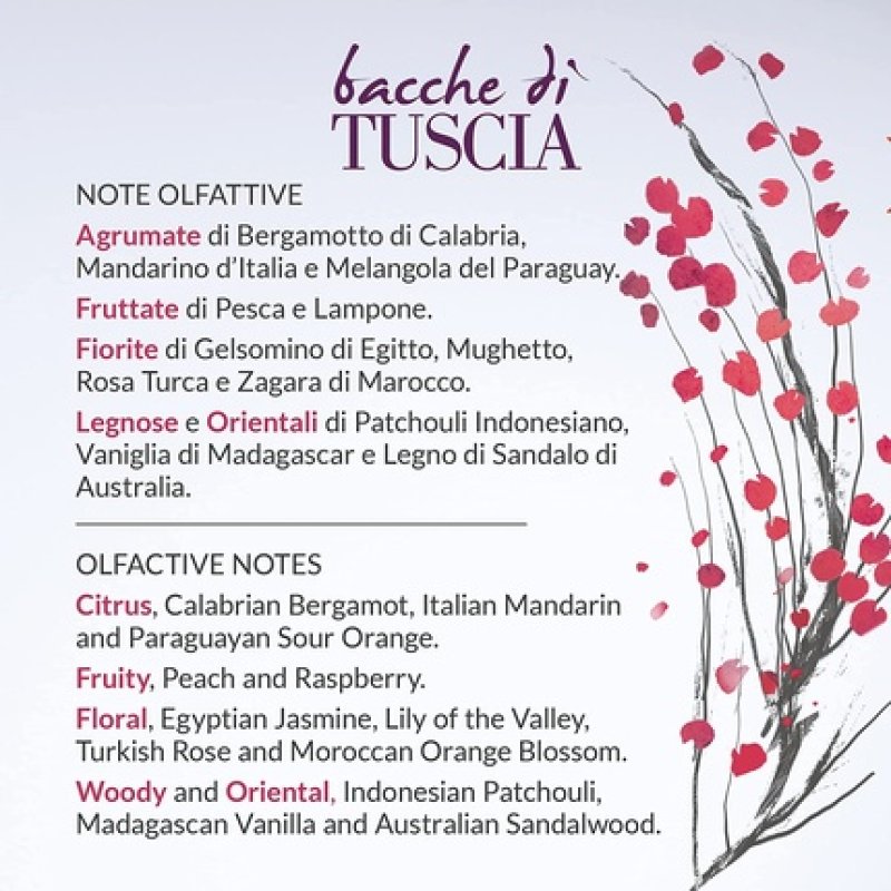 Erbario Toscano Bacche di Tuscia Body Balm