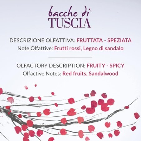 Erbario Toscano Bacche Di Tuscia Home Fragrance Reed Diffuser 100ml