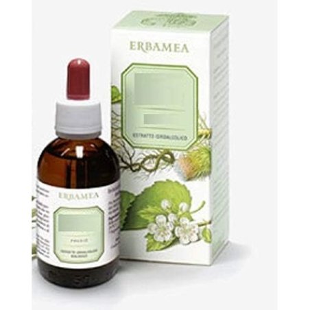 Erbamea Pilosella Aerial Parts Hydroalcoholic Extract 50ml