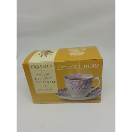 Infusions of Officinal Plants Ginger Lemon Organic 20 Single-Dose Filter Bags