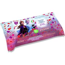 Frozen Wet Wipes