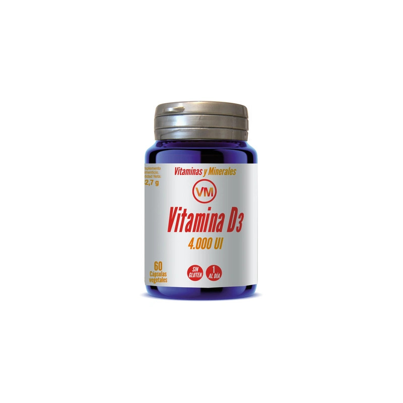 Ynsadiet Vitamin D3 4000 Iu - 60 Capsules