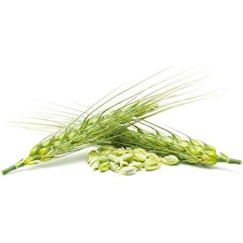 Beer Yeast Plus 500 Tablets