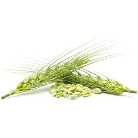 Beer Yeast Plus 500 Tablets