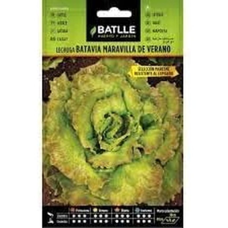 Maresme Wonder Summer Battle