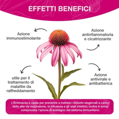 Echinacea C Effervescent Tablets 20
