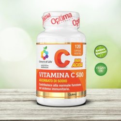Colours of Life Vitamin C 500 Supplement Antioxidative Function 120 Plant Capsules 120g